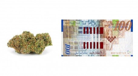 מה האי הפללה תעשה למחיר של גרם קנאביס בשוק השחור ?