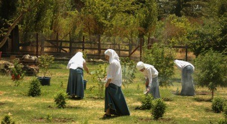 מחזור של 750 אלף דולר בשנה: הנזירות שמגדלות ומוכרות ברשת מוצרי קנאביס עם CBD עבור חולים