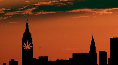 קנאביס בניו יורק – לגליזציה בניו יורק עוד ב-2017
