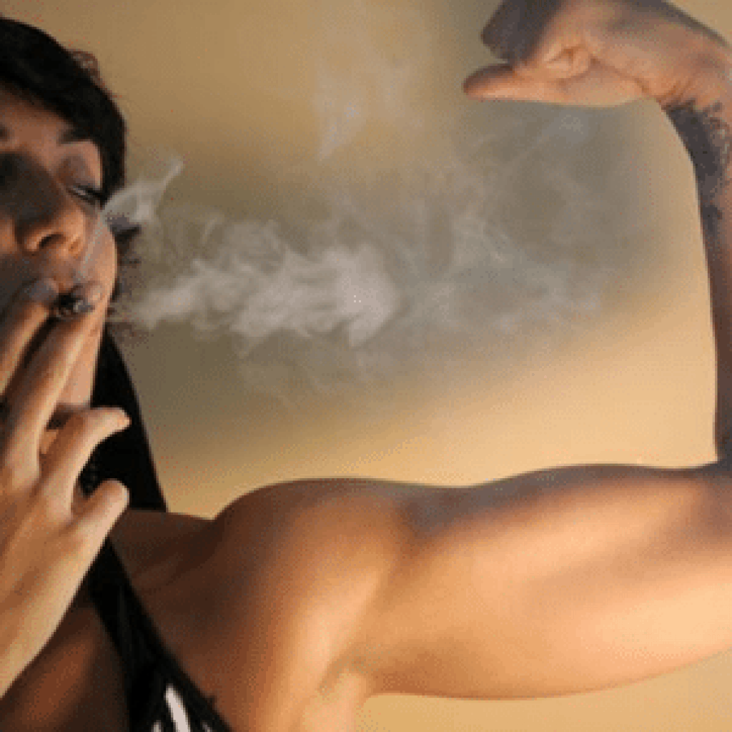 עבודה עם קנאביס