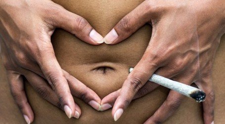 משקל וקנאביס – מחקר חדש מדנמרק: קנאביס לא גורם להשמנה