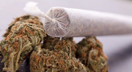 סטלה טבעית – להיות בלי ולהרגיש עם – 5 דרכים טבעיות לקבל הרגשה של קנאביס, מבלי לעשן