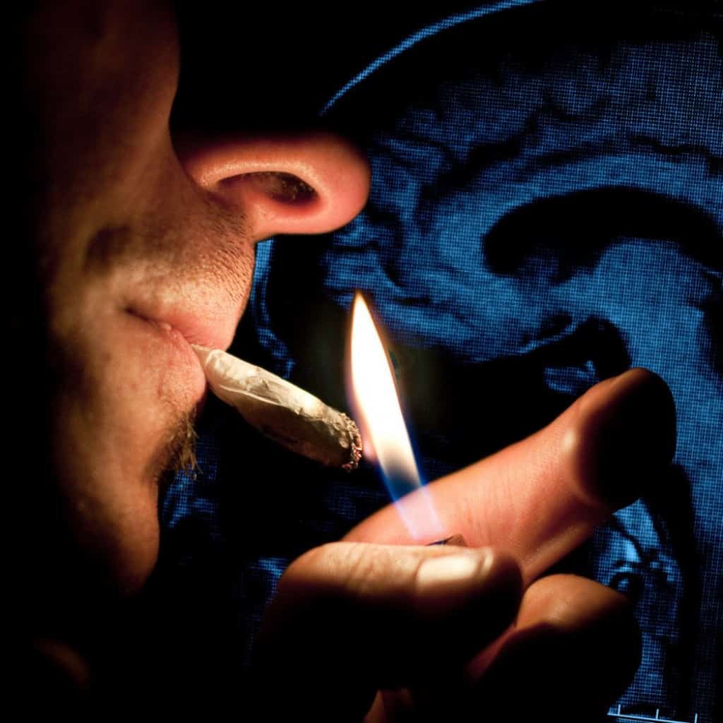 השפעות של קנאביס