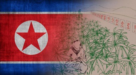 צפון קוריאה: המסחר בהמפ מסייע למדינה המבודדת