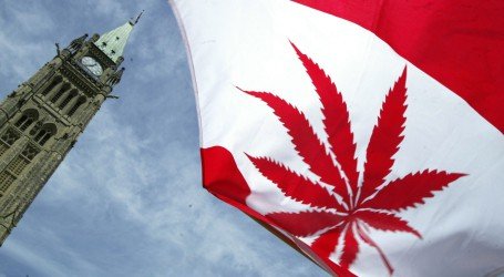 לגליזציה בקנדה – כל הפרטים על המודל החדש