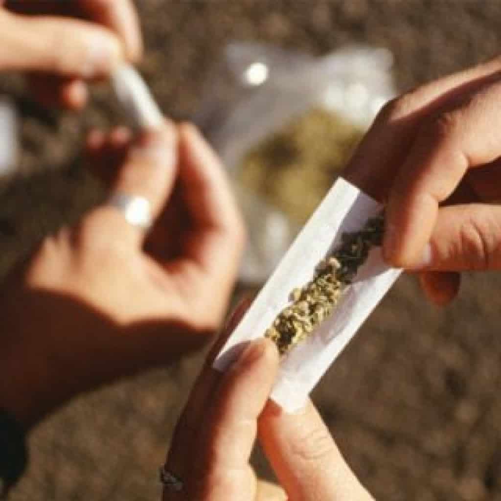 יתרונות הקנאביס