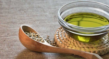 גידול המפ – לגשר בין חקלאות לרפואה: מה הקשר בין ביטחון תזונתי וקנאביס?