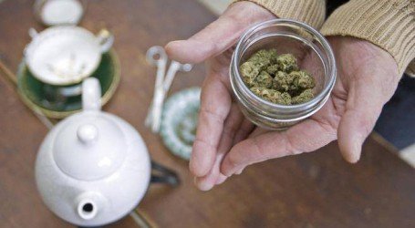 קנאביס ושפעת – איך קנאביס יעזור לשפעת שלכם?