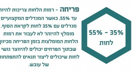 ישראלי עוכב בנתב”ג בגלל פסטה ושוקולד מ’קנאביס’