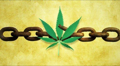 ארדן הכריז: כל תיקי הקנאביס משנת 2018 יבוטלו