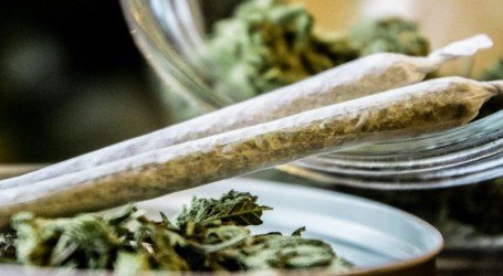 פגיעה בזכויות וניצול כלכלי – 5 בעיות עם מודל אי ההפללה החדש