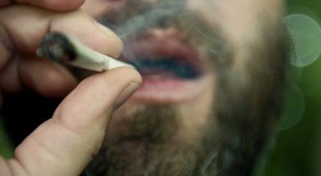 מדריך: כיצד להתמודד עם סטלה חזקה מדי?