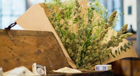 פרח נתתי לנורית – מתנות ירוקות ליום האהבה