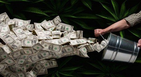 צמיחה מהירה: שוק הקנאביס יגיע לשווי של 57 מיליארד דולר עד 2027