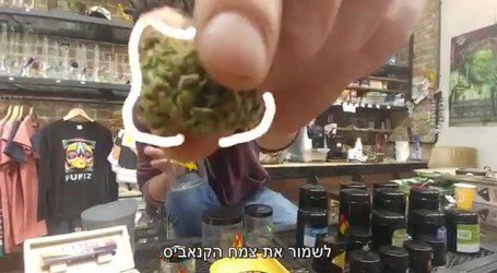 איך לאחסן קנאביס ? – איך מאחסנים קנאביס בצורה הטובה ביותר