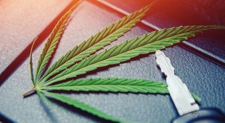 החוק החדש: מטופלי קנאביס רפואי יורשו לנהוג ברכב