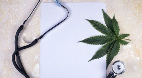 מצטיידים להצלחה – 5 כלים שכל מגדל חייב להחזיק