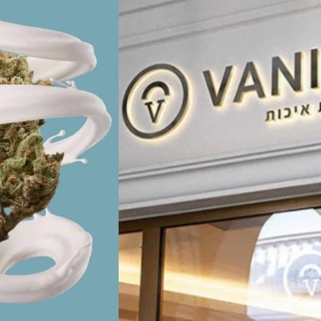 גלידת קנאביס