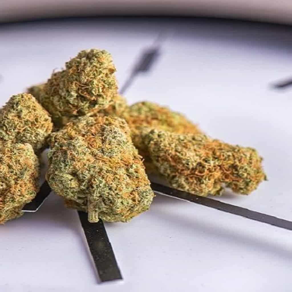 קנאביס על שעון - כשהזמן לא זז - מדוע קנאביס מאט את תפיסת הזמן שלנו?