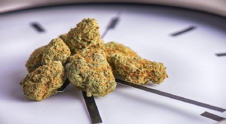 כשהזמן לא זז – מדוע קנאביס מאט את תפיסת הזמן שלנו?