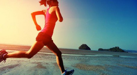 חלבון המפ – תוסף תזונה מושלם לספורטאים