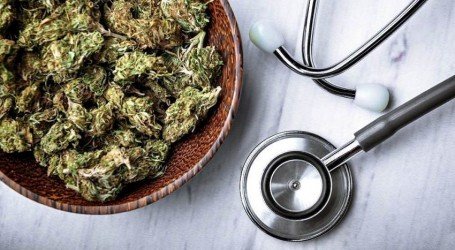 וירג’יניה מציגה: קבלו קנאביס רפואי על כל דבר