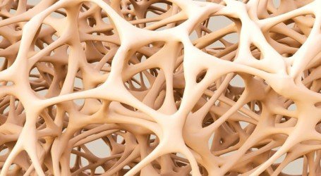 קנאביס מגביר את צפיפות העצמות? המדענים חלוקים