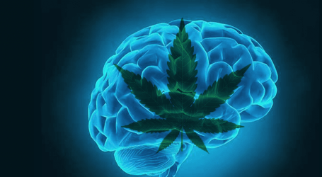 חסינים לוויד? כך שוברים עמידות ל-THC