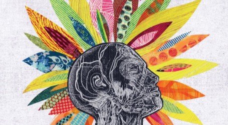 5 זני קנאביס שיוציאו מכם את היצירתיות