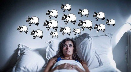 נדודי שינה? תכירו 5 זנים שיעזרו לכם להרדם