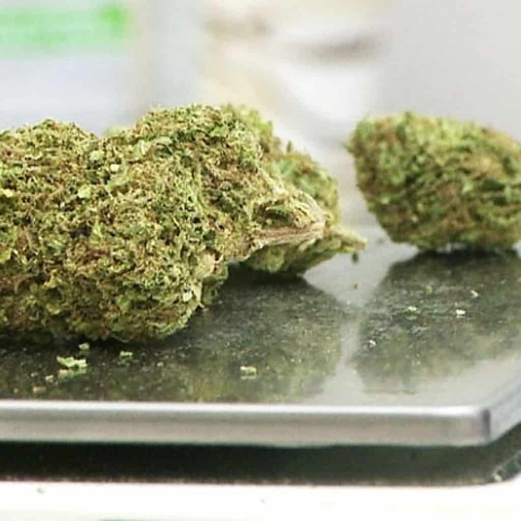 קנאביס על משקל של חנות ירקות