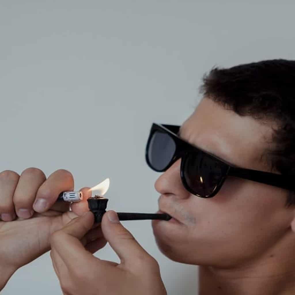 זנים לצרכנים מתחילים