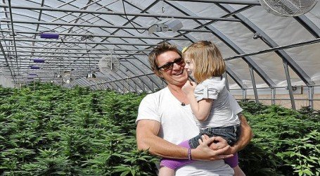 פרויקט חדש: חברות הקנאביס מצילות ילדים בסיכון