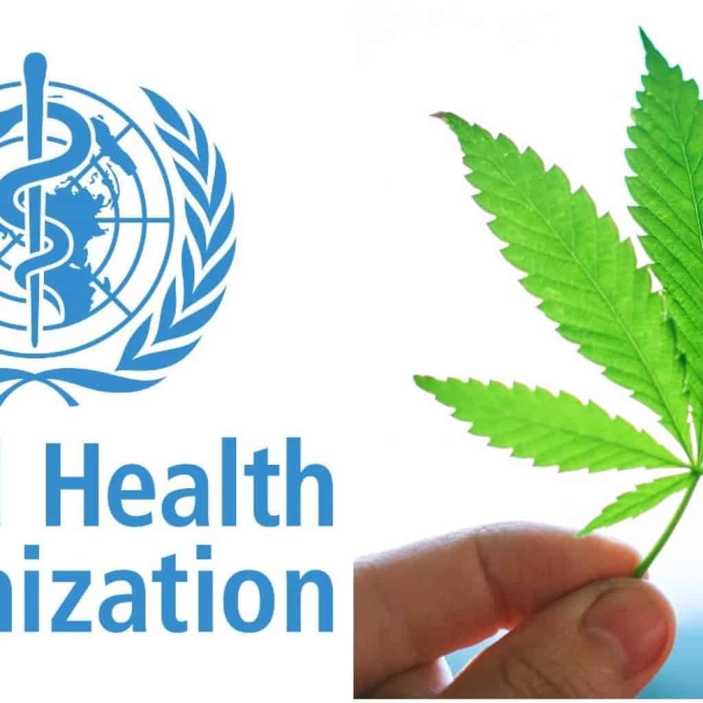 ועדת הבריאות העולמית