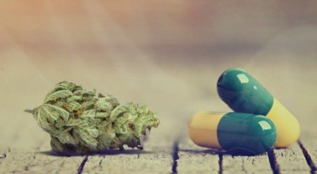 מחקר חדש: CBD הוא נוגד דיכאון מצוין