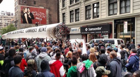 ממשלת ניו יורק בדו”ח חדש: הלגליזציה מתקרבת