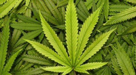 רוצים להיגמל? הנה שלושה אתרים שיעזרו לכם