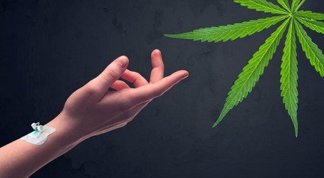 תרופה מהטבע – 7 סגולות רפואיות של קנאביס