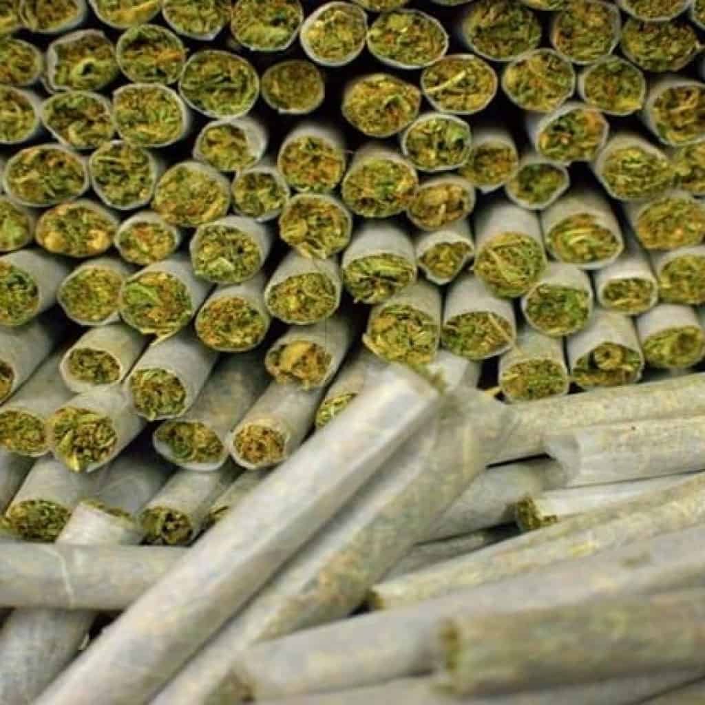 אלף ג'וינטים - לקראת צעדת הלגליזציה של טלגראס