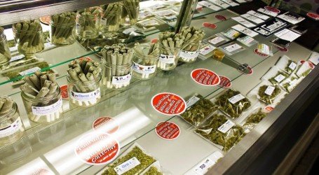 ווילס: מפכ”ל המשטרה בעד הקמת מועדוני קנאביס