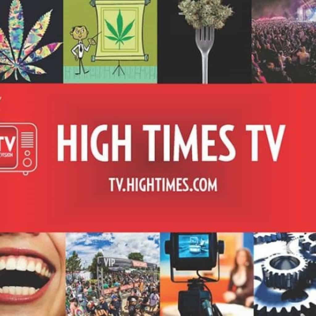 היי טיימס TV - ערוץ קנאביס