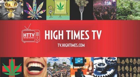 התשובה לחרם של יוטיוב ופייסבוק: היי טיימס TV