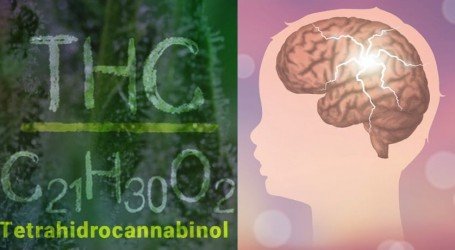 מחקר מראה: גם THC מסייע לטיפול באפילפסיית ילדים