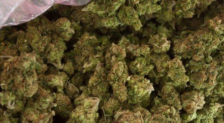 לא לצאת פראיירים – 5 טיפים חשובים לפני קניית קנאביס