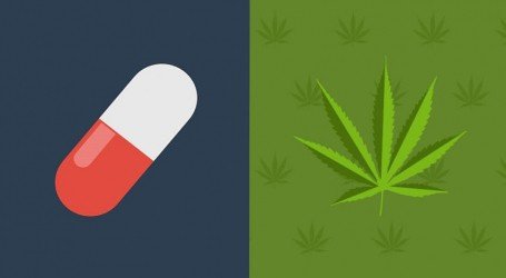 מרכז גמילה מארה”ב מוכיח: קנאביס מעודד גמילה מסמים