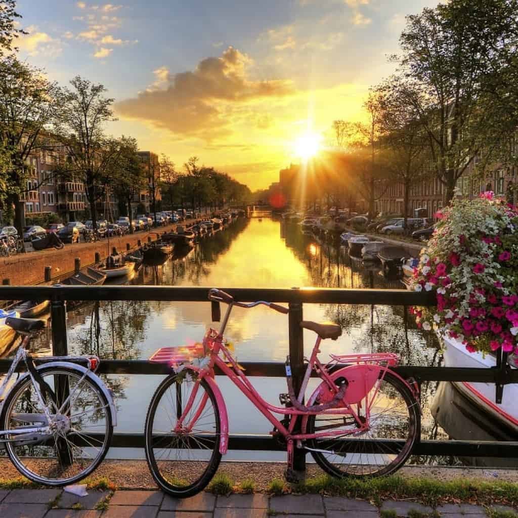 אמסטרדם למביני עניין - קופישופס איכותיים שחובה לבדוק