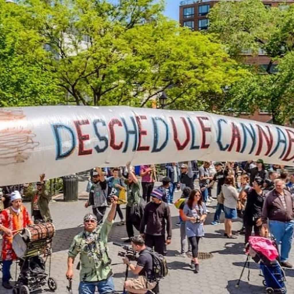 קנאביס ניו יורק