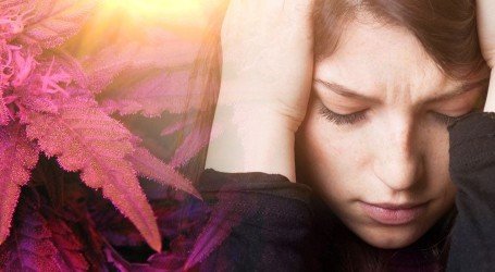 להקדים תרופה למכה – 4 דרכים למנוע חרדה מקנאביס