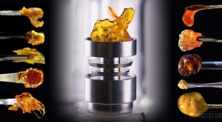 איך צורכים קנאביס – חלק 2 – שמנים ומיצויים