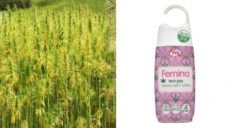 לראשונה בישראל – תחליב רחצה לנשים עם שמן המפ